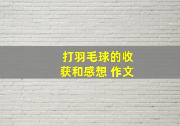 打羽毛球的收获和感想 作文